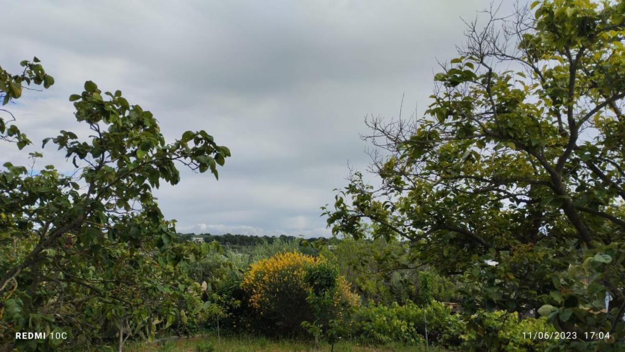 Le Terrazze Della Crianza Ostuni Exterior foto