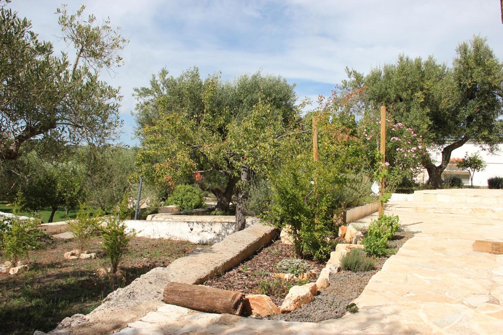 Le Terrazze Della Crianza Ostuni Exterior foto