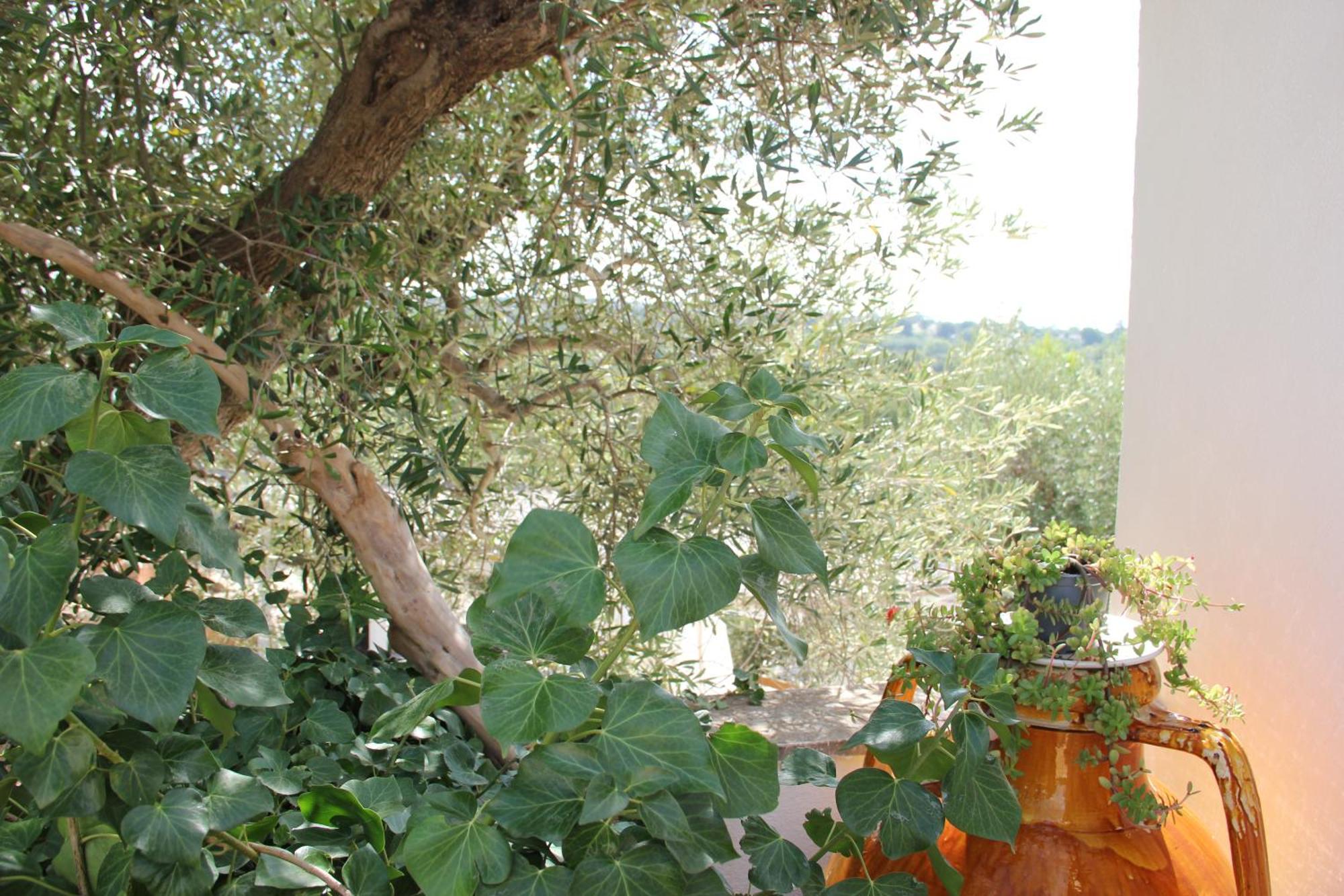 Le Terrazze Della Crianza Ostuni Exterior foto